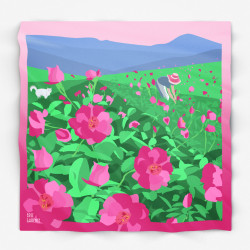 Carré de Soie par Eric Garence "La Rose Centifolia à Grasse" Collection Côte d'Azur