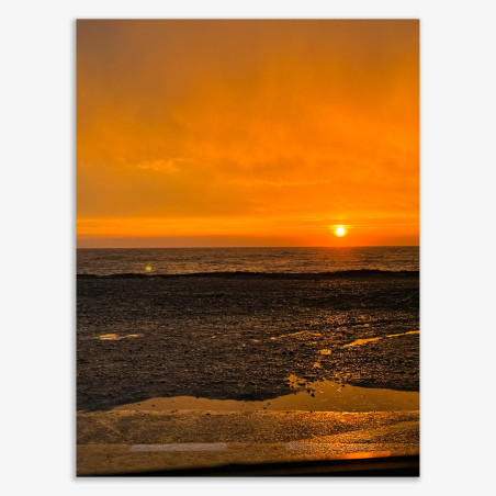 Greve, Photograph by Eric Garence