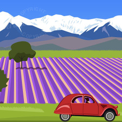 Affiche ''Valensole, Route de la lavande''