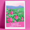 Affiche ''Grasse, la Centifolia''
