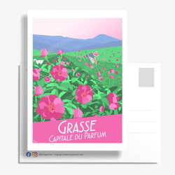 Carte Postale ''Grasse, la Centifolia''